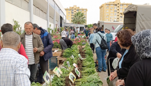 Rengarenk çiçekler Aliağa 'da pazar tezgahlarını süslüyor