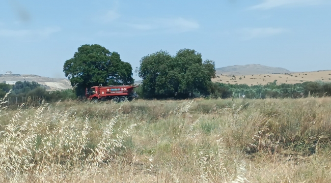 Aliağa'da Ekin Tarlasında Yangın: 30 Dönüm Kül Oldu