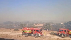 Aliağa 'da makilik ve otluk alanda çıkan yangın söndürüldü
