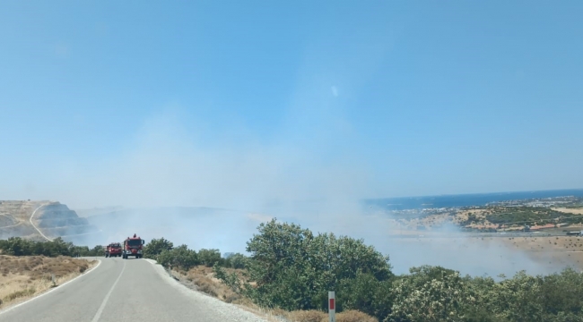 Aliağa'da otluk ve makilik alanda yangın 
