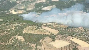 Bergama'da orman yangını