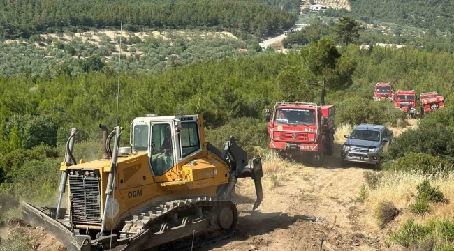 Bergama'daki orman yangını kontrol altına alındı