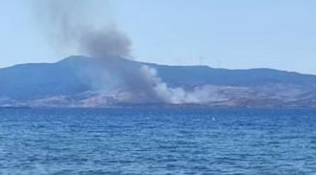 Çandarlı'daki otluk alandaki yangını söndürüldü