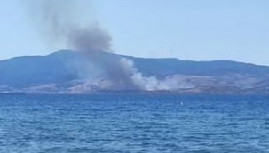 Çandarlı'daki otluk alandaki yangını söndürüldü