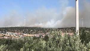 Çeşme Germiyan'da Yangın! Havadan ve karadan müdahale ediliyor