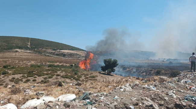 Foca'da Ağaçlık ve otluk alanlarda yangın