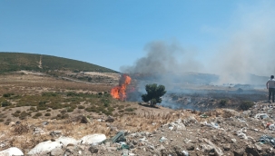 Foca'da Ağaçlık ve otluk alanlarda yangın
