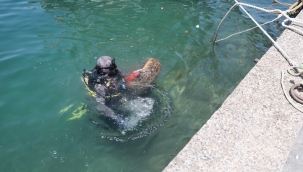 Gönüllü Dalgıçlar Dünya Çevre Gününde Foça da Sualtı Temizliği Yaptılar