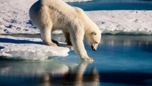 Küresel İklim Durumu Raporu dünyaya kırmızı alarm veriyor!