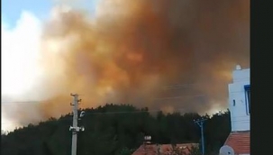 Menderes'te orman yangını