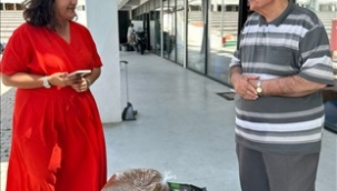 Sahipsiz kediler için anlamlı bağış