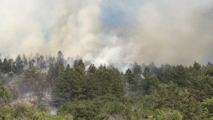 Spil'deki yangın kontrol altında