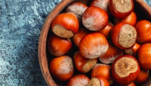 TMO'dan kartla kabuklu fındık alma imkanı