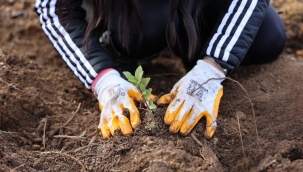 Uludağ Elektrik'ten doğaya anlamlı miras
