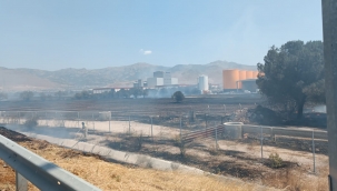 Aliağa'da tarım arazisinde çıkan yangın söndürüldü