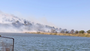 Aliağa'daki otluk alandaki yangın kontrol altında alındı.