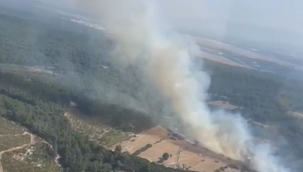 Buca'daki orman yangını kontrol altında