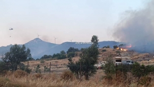  FOÇADAKİ ORMAN YANGINI KONTROL ALTINA ALINDI