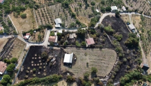 İzmir'deki orman yangının boyutu gün ağarınca ortaya çıktı