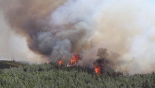 İzmir'deki yangından dolayı bazı uçuşlar iptal edildi 