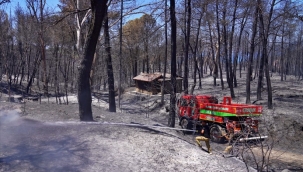 İzmir'in ateş savaşçıları ağaçlar için nöbette
