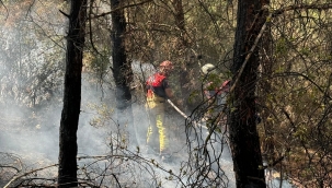 İzmir İtfaiyesi 4 ilçede yangınlara müdahale ediyor