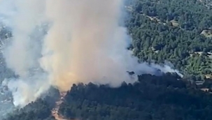 İzmir Ödemiş'te çıkan orman yangını kontrol altına alındı