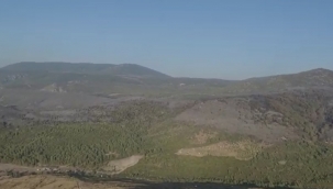 İzmir Urla'daki orman yangını kısmen kontrol altında