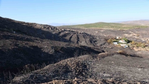 İzmir Valisi Elban: "Can haviyle araziye kaçan 3 vatandaşımız hayatını kaybetti"