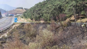 İzmir Valisi Elban: "Yangında 7 ev hasar gördü"