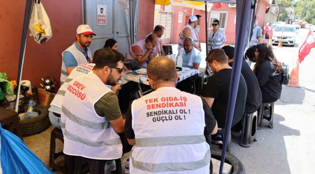 Zeytinyağı fabrikası işçileri 23 gündür grevde