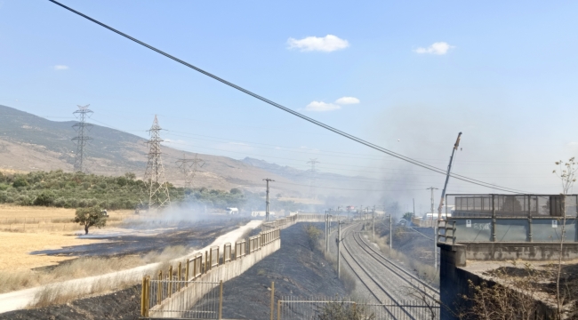 Aliağa 'de Yol kenarına atılan sigara izmariti yangın çıkardı