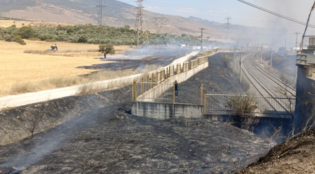 Aliağa 'de Yol kenarına atılan sigara izmariti yangın çıkardı