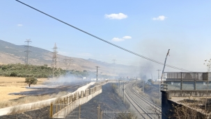 Aliağa 'de Yol kenarına atılan sigara izmariti yangın çıkardı