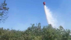 Bergama'daki orman yangını kontrol altında