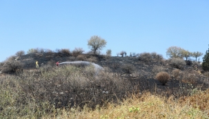 Efes Alt Kapı yangını sonrası Filiz Başkan'dan izmarit uyarısı!