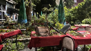 İzmir'de asırlık ağacın dalı kıraathanede oturanların üzerine devrildi: 2'si ağır 9 yaralı