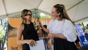 İzmir'de Patili Perşembe ile can dostlar yeni yuvalarına kavuştu