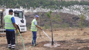 9 Eylül'de İzmir'in dağlarında çiçekler açtı