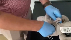 İzmir'de ilginç olay: Oyuncak ayıcıktan uyuşturucu çıktı