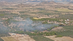 Dikili'de Orman Yangını Kontrol Altına Alındı