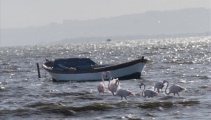 İzmir ve Lübliyana kuraklıkla mücadelede güçlerini birleştiriyor