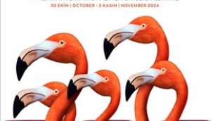 Kristal Flamingolar sahiplerini bekliyor