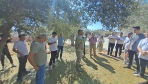 Zeytinler Gençlerle Yeşeriyor: Şakran'da Gençlerden Yerel Ekonomiye Destek