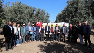 Aliağa'da 3. Zeytin Hasat Şenliği Düzenlendi