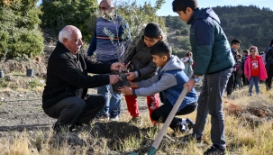 Bornova'da 24 Kasım hediyesi: Ölmez ağaç