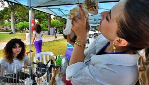 İzmir'de sahiplenilen hayvanlar ücretsiz kısırlaştırılacak