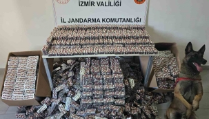  jandarmadan operasyon: 129 bin sentetik hap ele geçirildi