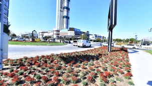 Meydanlar Ata'nın en sevdiği kasımpatı çiçeği ile renklendi 