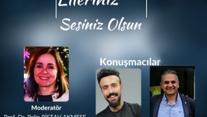  İşaret dili ve sağır kültürü 